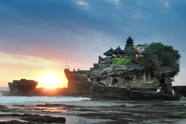 Bali rice terraces